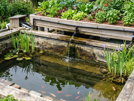 Pond evaporation in summer