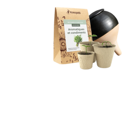 Sachet de graines aromatiques, godets de semis et pot en terre cuite