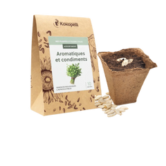 semences et germinations