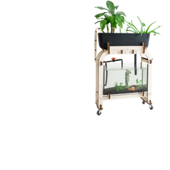 aquarium d'aquaponie