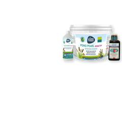 Produits du rayon Bactéries & cyclage chez Univers Aquaponie