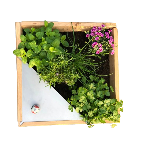 Gemüsegarten - Komposter : Balkon