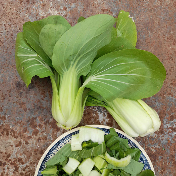 Chinakohlsamen - Zwerg-Pak Choy