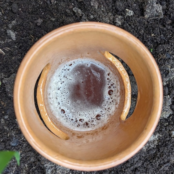 Piège à limaces 2