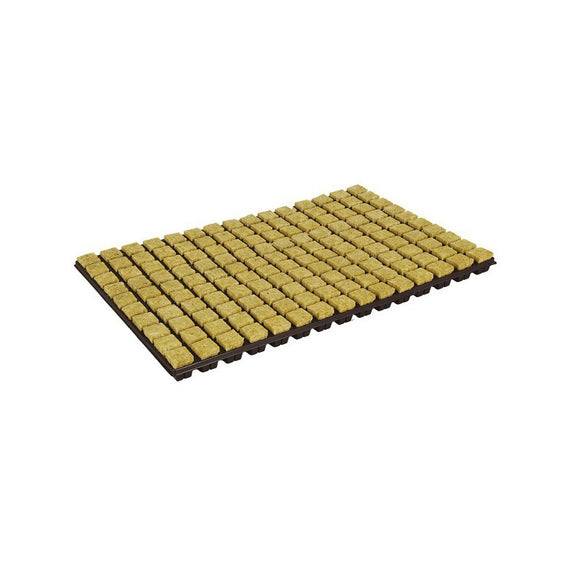 Plateau 150 cubes de germination