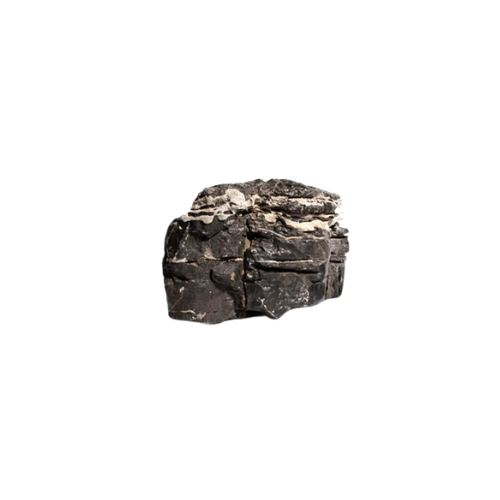 Roche léopard 2