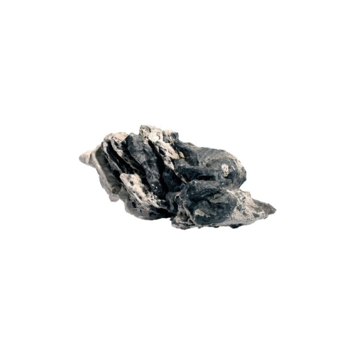 Roche léopard 3