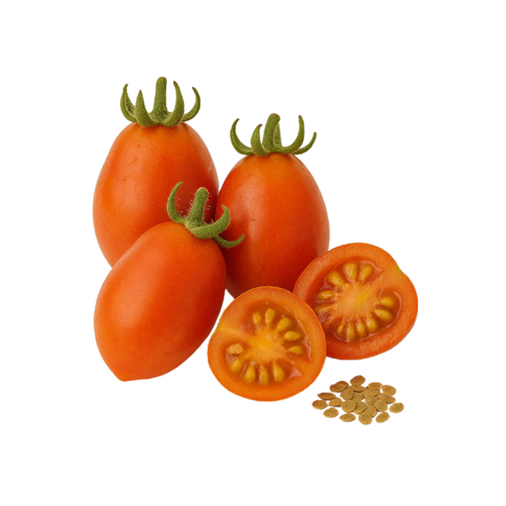 Tomates Cerises Grappoli Corbarino