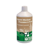 Flacon de 500 ml d'extrait d'algue liquide Ascophyllum nodosum