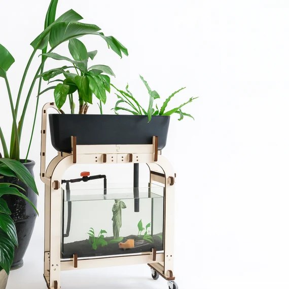 Aquarium aquaponique Aquapouss'Mini en bois, avec son bac de culture planté
