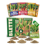 Set of 6 packets of organic chard seeds with red, yellow and white stems
