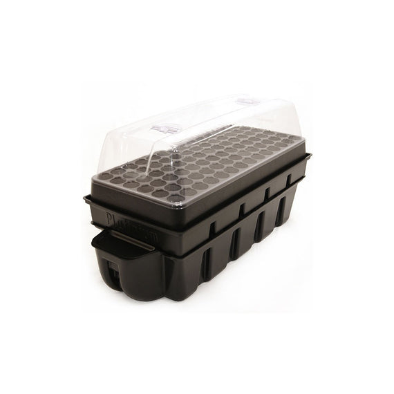 kit de germination