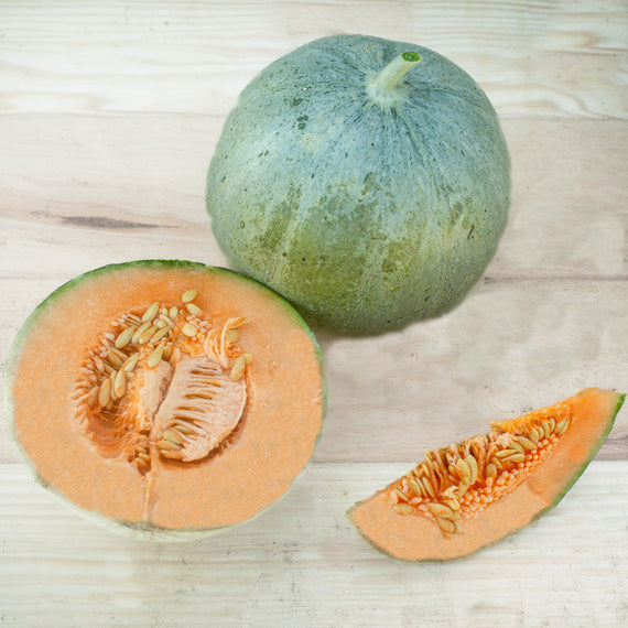 Charentais CantaloupeMelonensamen