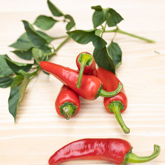 piment