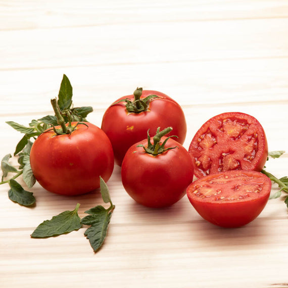 Tomates jupiter 3