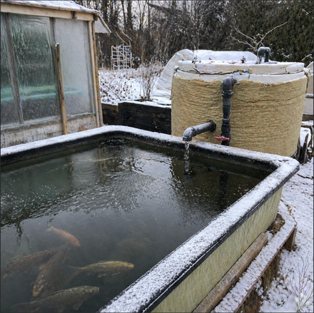 Protéger son système aquaponique en hiver