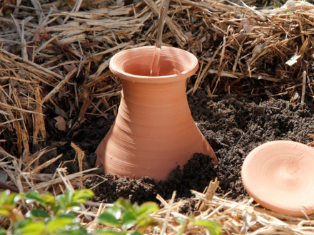Arroser ses plantes avec une olla