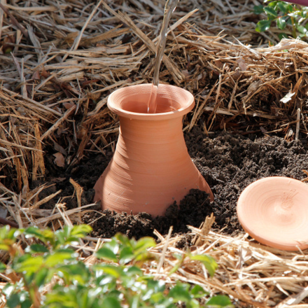 Planten bewateren met een olla