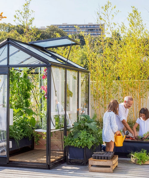Système aquaponique associant élevage de poissons et culture de légumes