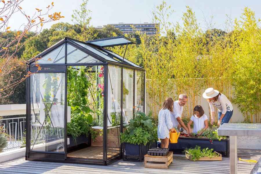 Système aquaponique associant élevage de poissons et culture de légumes