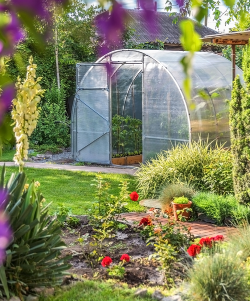 Entretenir son système aquaponique en été