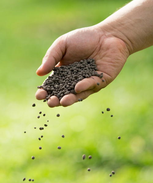 Quel engrais utiliser en aquaponie ?