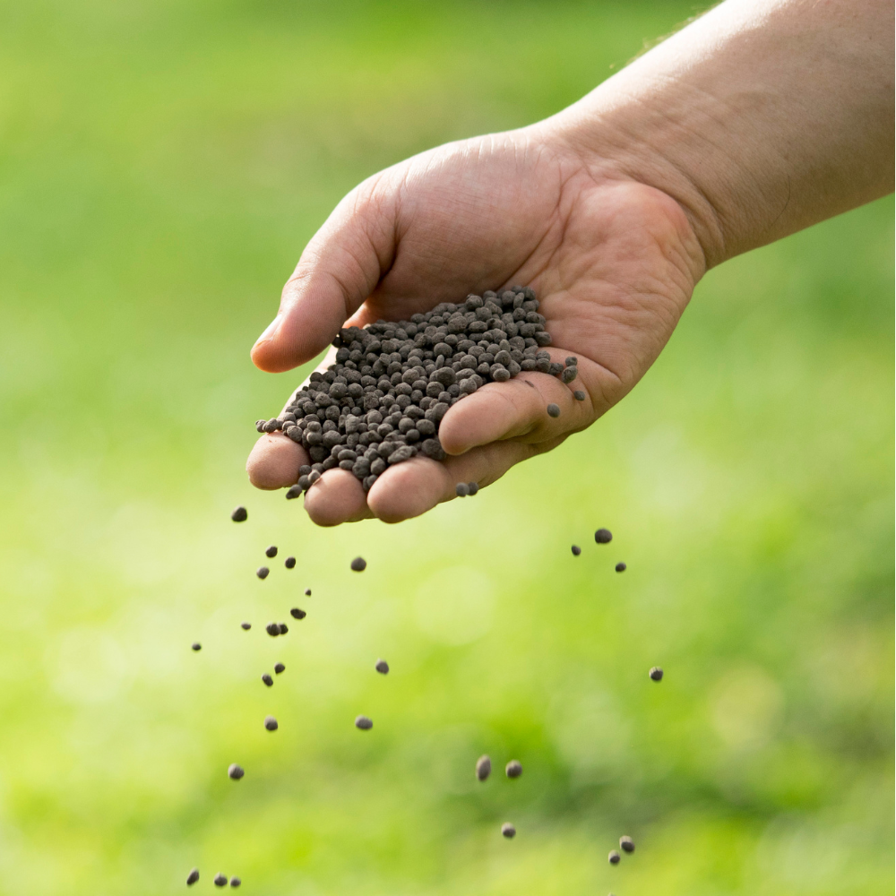 Quel engrais utiliser en aquaponie ?