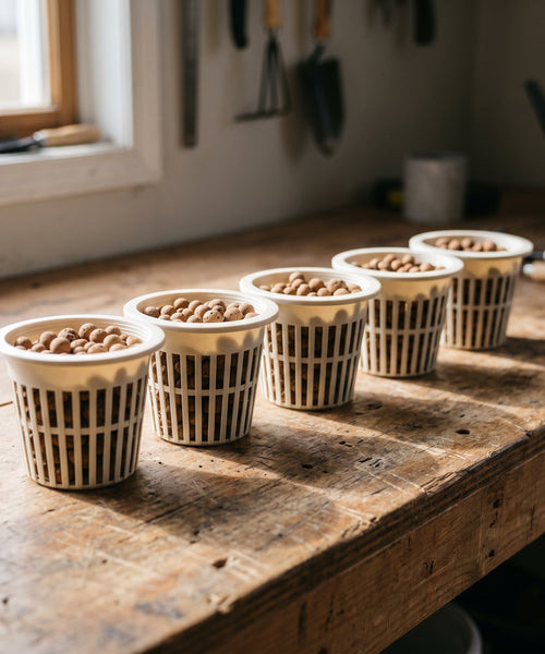 Pots paniers de culture remplis de billes d'argile pour l'aquaponie