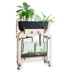 aquarium d'aquaponie