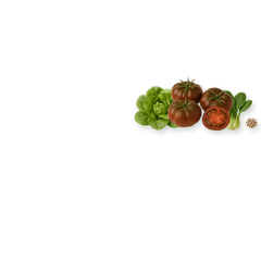 Produits du rayon Graines potagères & aromatiques chez Univers Aquaponie