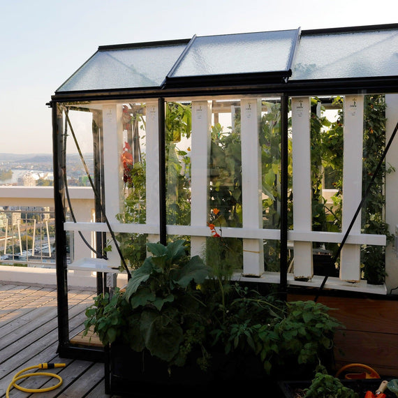 Serre Myfood City installée sur un toit-terrasse, tours de culture et légumes visibles derrière le vitrage