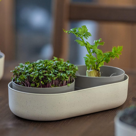 Pot double germoir à graine 