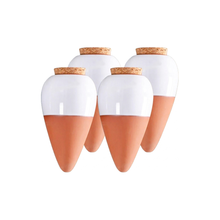 Pack de 4 Ollas en terre cuite à planter