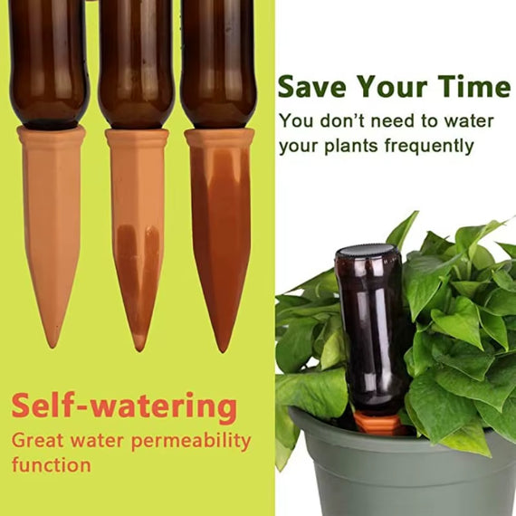 Mini olla terre cuite vue principale installée dans pot de plante verte d'intérieur