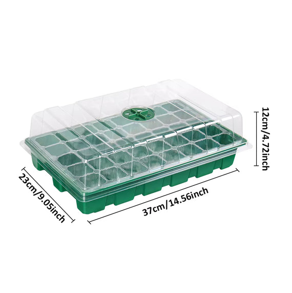 Graines vue de dessus dans paume pour semis maison de légumes, aromates et fleurs