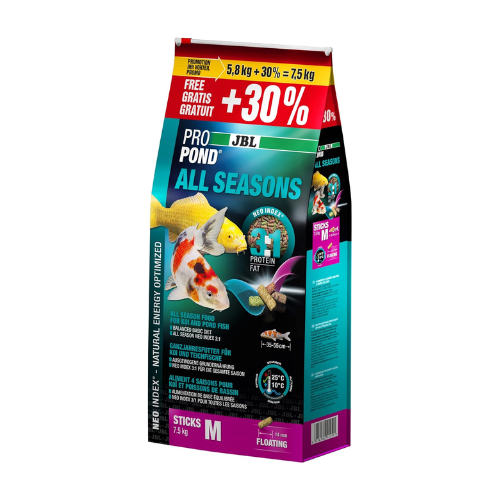JBL PROPOND All Seasons en utilisation – nourrissage des koï en bassin de jardin