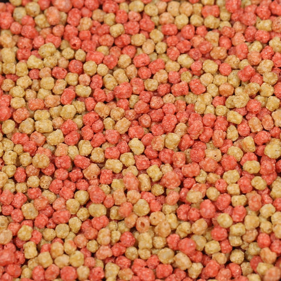 JBL PROPOND Goldfish formule détaillée – composition nutritionnelle pour poissons d'ornement