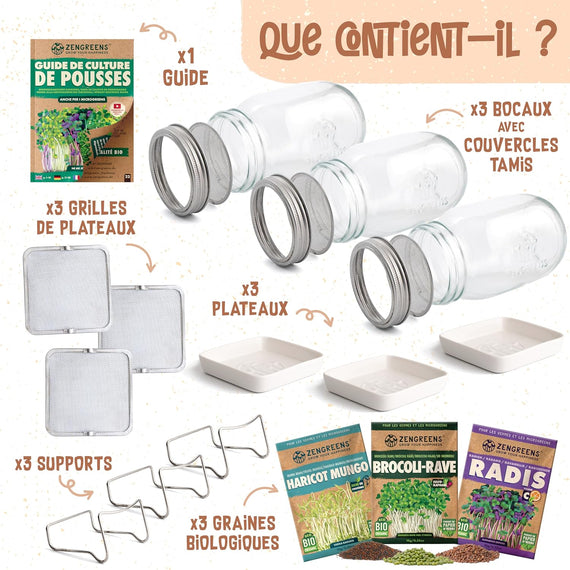 Seed sprouter overview – compact device for food sprouting