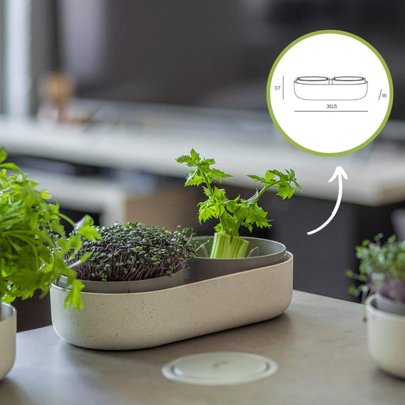 Pot double germoir à graine 