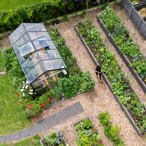 Serre de jardin Euro-Maxi