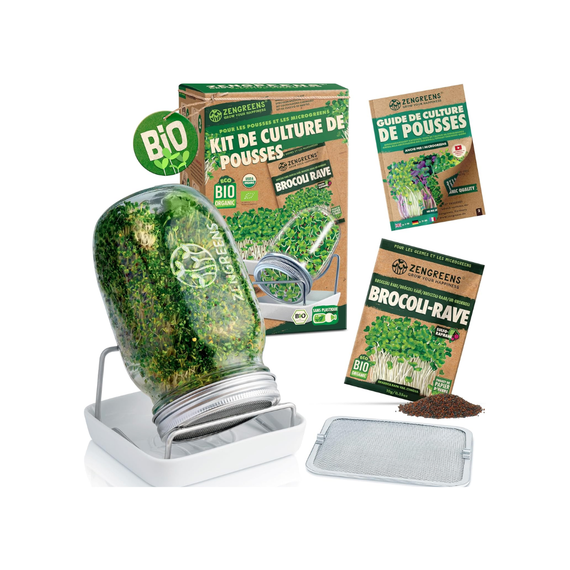 Seed sprouter close-up – stackable trays for alfalfa, soy and broccoli sprouts