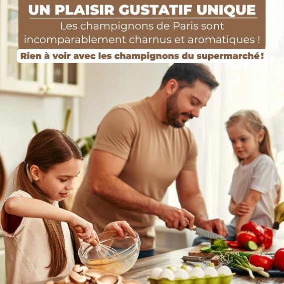 Kit de culture champignon de Paris avec packaging – livraison prête à l'emploi