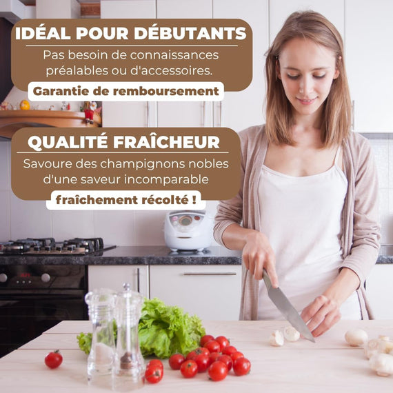 Kit champignon de Paris en situation maison – culture domestique de champignons blancs