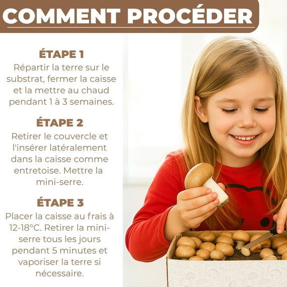 Kit champignon de Paris vue trois-quarts – sac de culture autonome pour cuisine ou cellier