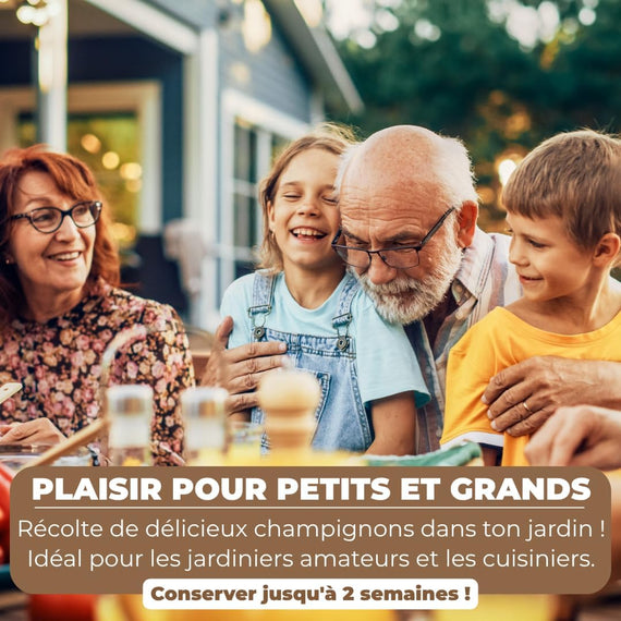 Kit champignon de Paris vue de détail – substrat à mycélium pour récoltes successives