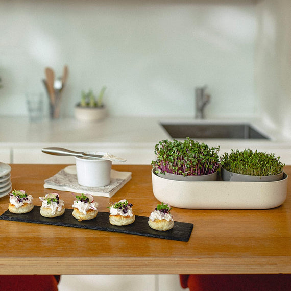 Pot double germoir à graine 