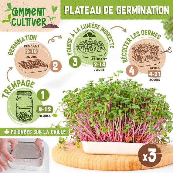 Seed sprouter usage diagram – soaking and rinsing steps for the seeds