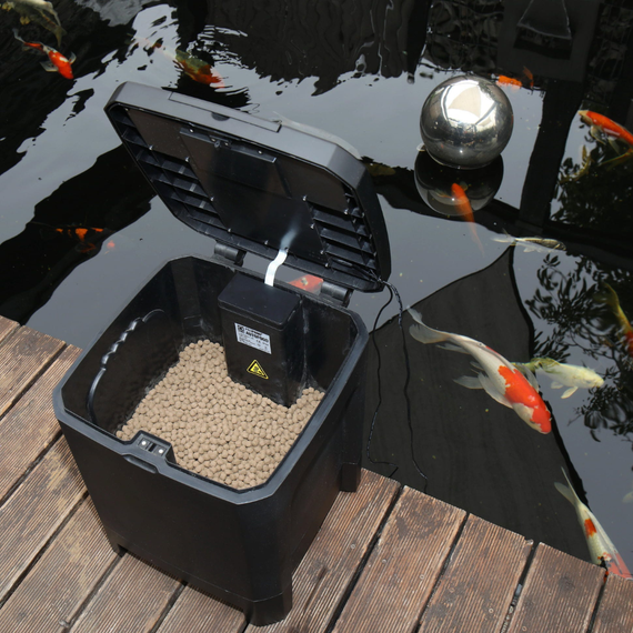 Distributeur automatique de nourriture pour bassin JBL ProPond AutoFood, solaire