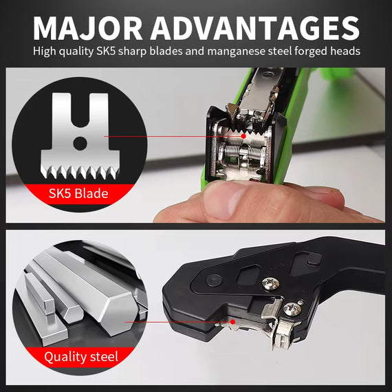 Comparaison de formats du produit aquaponique pour adapter à votre installation domestique