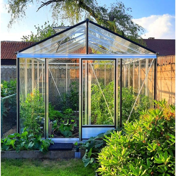 Serre de jardin Euro-Serre Euro-Maxi en aluminium brut avec verre trempé 4 mm, vue de face au potager